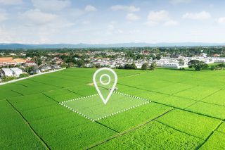 Foto: Parzelle mit Positionsmarker